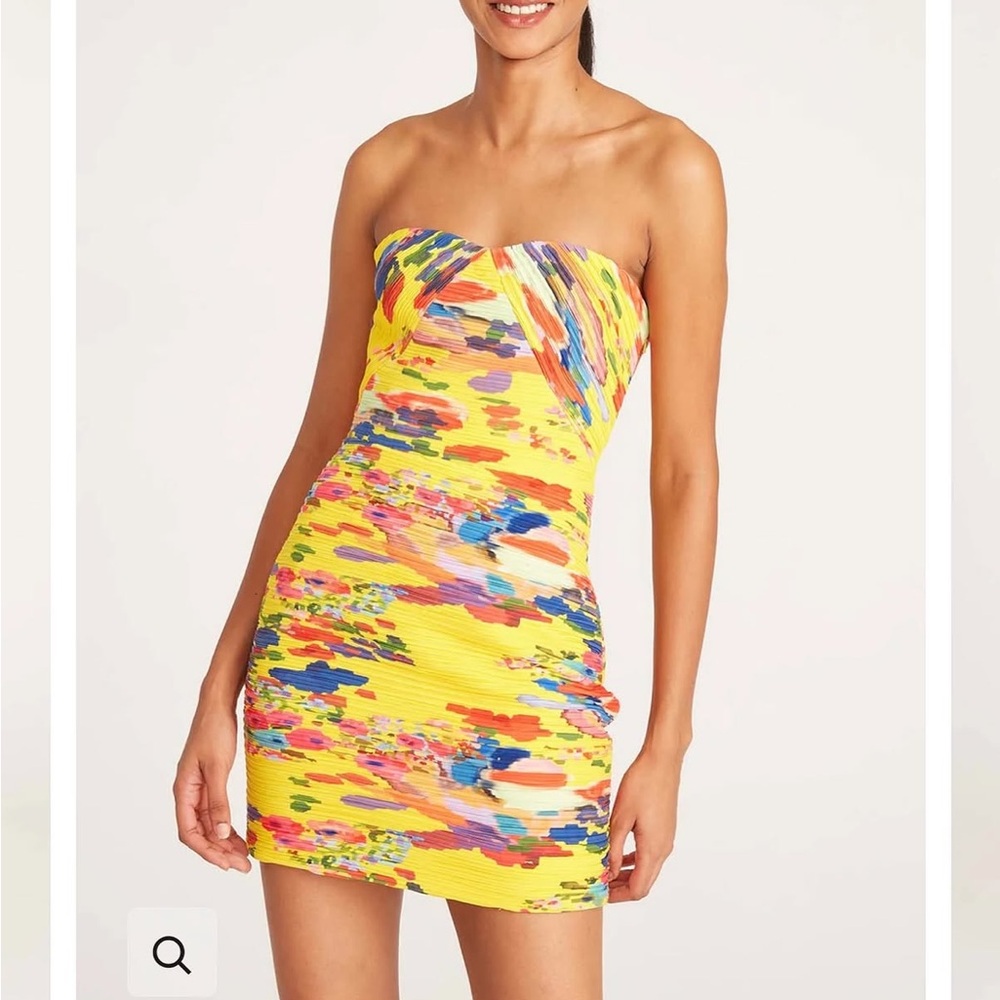 Amur Jana dress